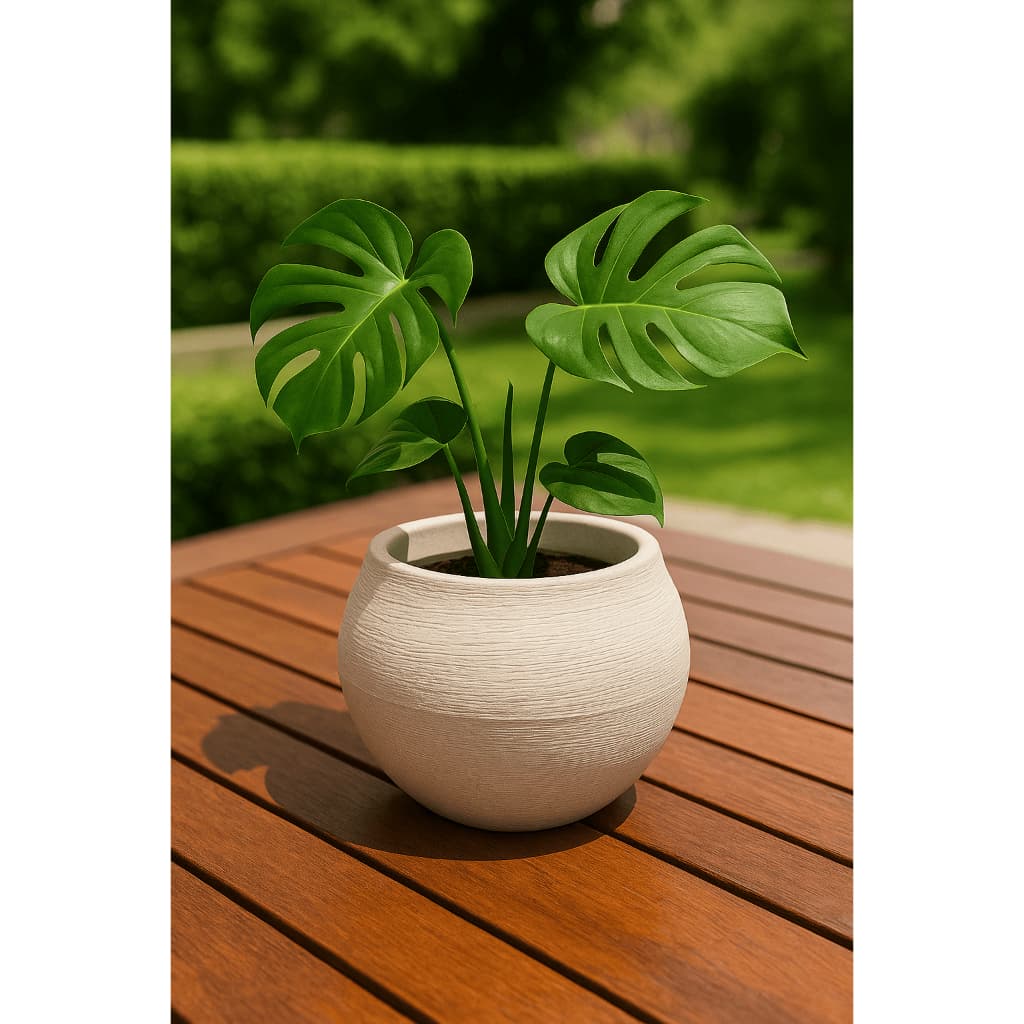Vaso decorativo em polietileno para Planta Modelo Esfera PP