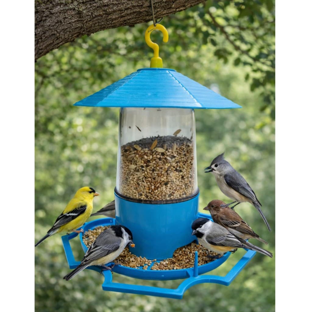 Comedouro Pássaros Silvestres Livres Jardim 300g