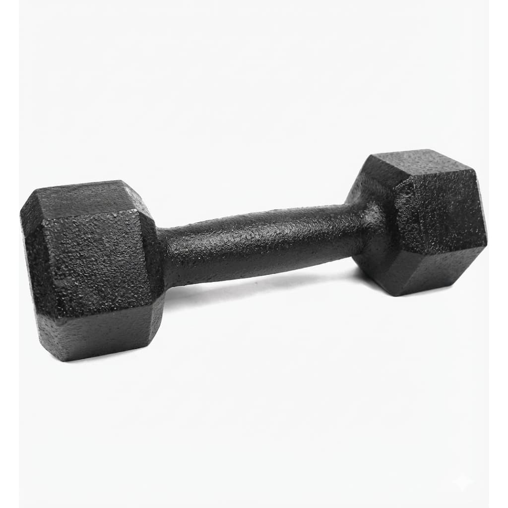 Halter Sextavado Pintado UNIDADE| 1kg a 5kg | One Life Sports® - Treino de Força