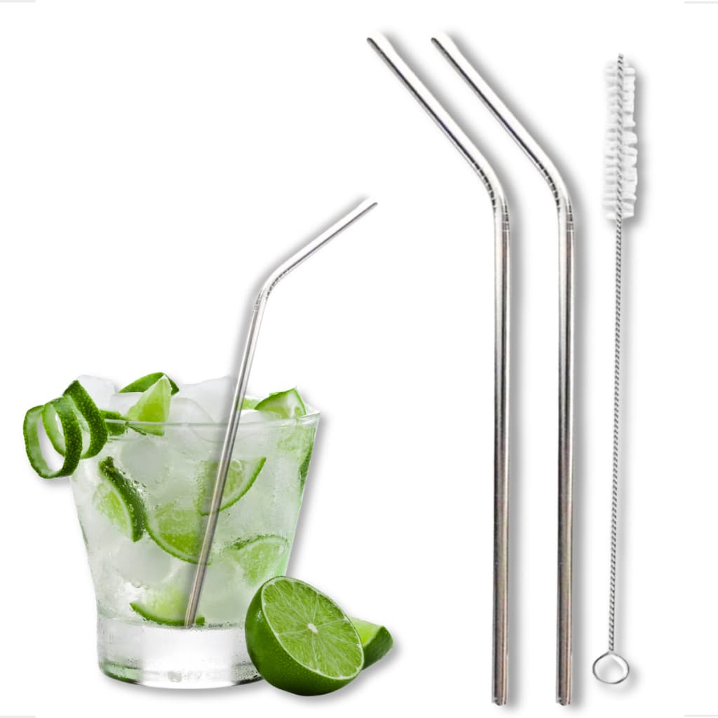 Kit 02 Canudos Aço Inox Metal Reutilizável + Escova