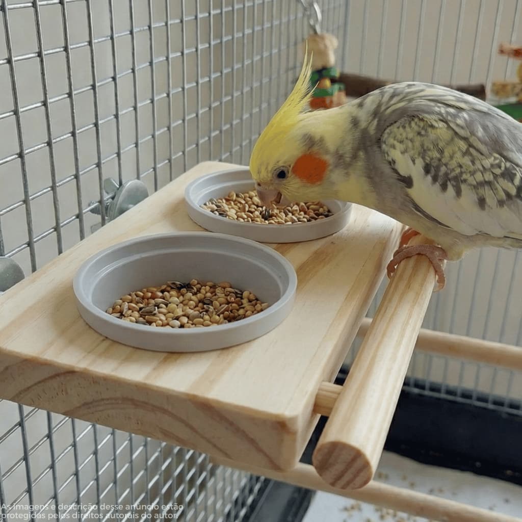 Comedouro Calopsita Ringneck Suporte Madeira Pote Plástico Cerâmica Individual Duplo com Fixação