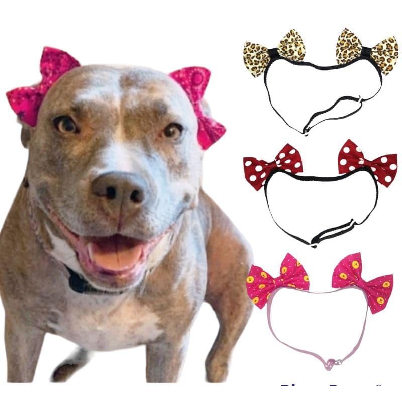 Lacinhos Pet para Pêlo Curto Ajustável Cáes Fêmeas