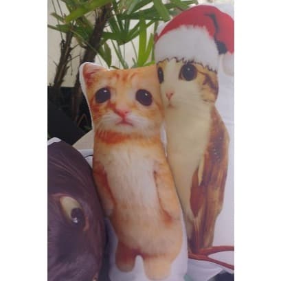 Almofada contornada decorativa, divertida, presente, memes e personagens. Tamanho 30 cm.