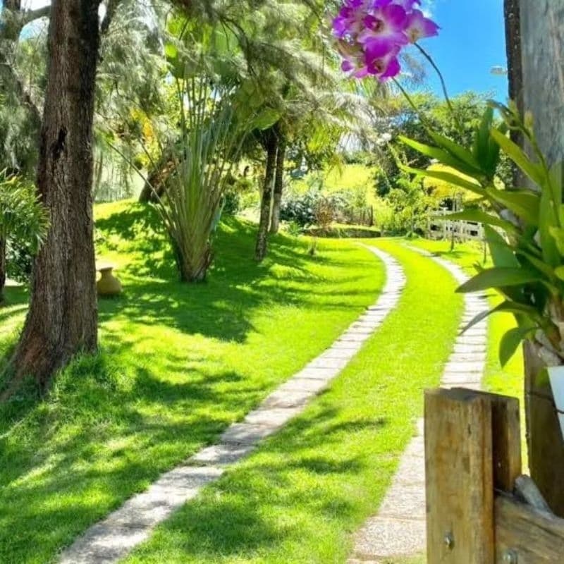 30000 Sementes grama coreana pra Golf jardins