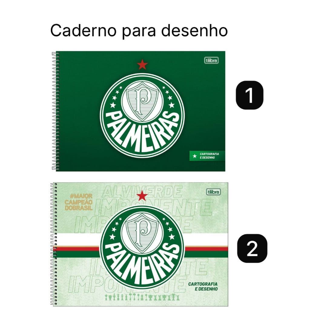 Caderno Desenho Cartografia Palmeiras Capa Dura Espiral 80 folhas 275x200mm Tilibra