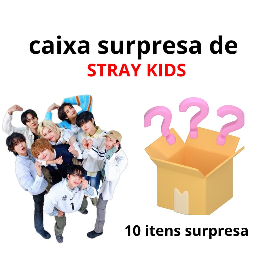 CAIXA SURPRESA DO STRAY KIDS