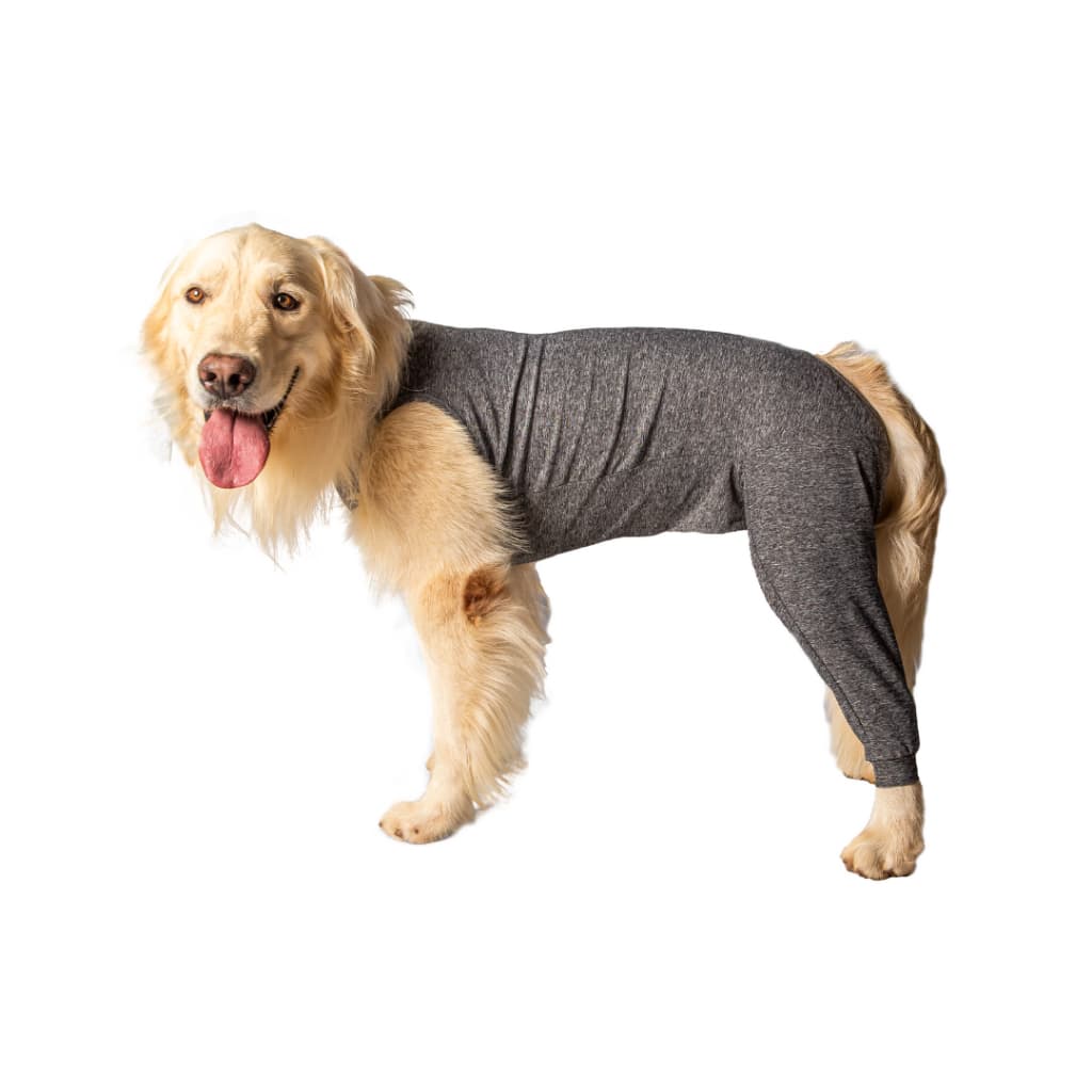 Roupa Protetora Membros Posteriores Cachorros Patas - 0 ao 15