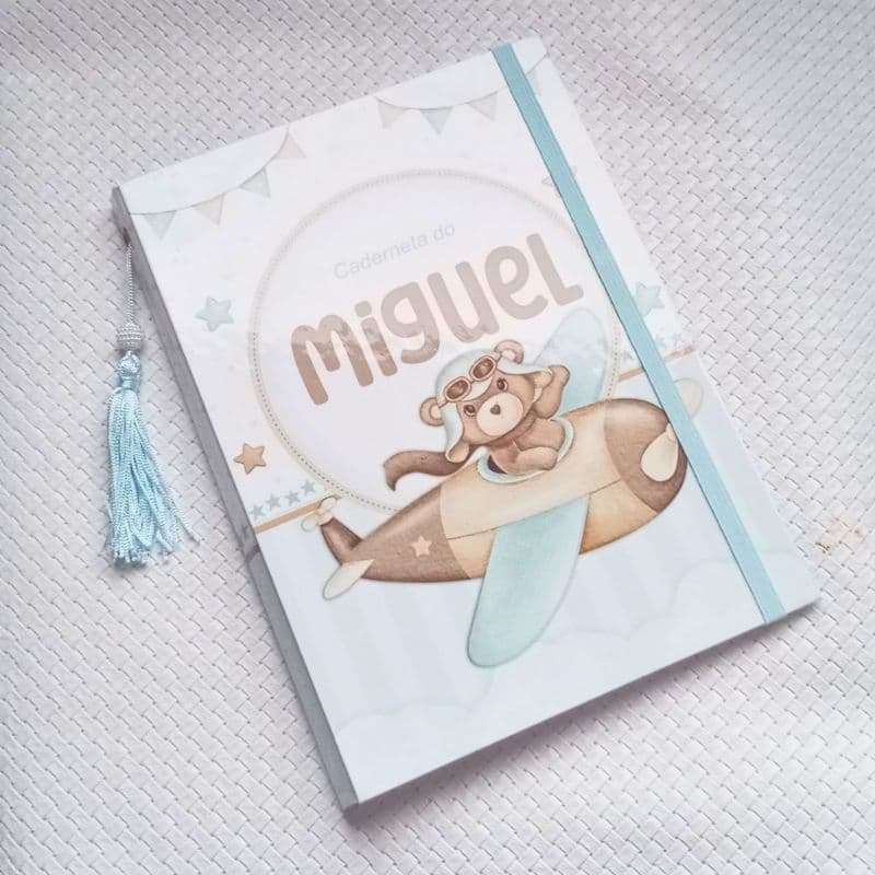 Porta Caderneta de Vacinas Ursinho Aviador