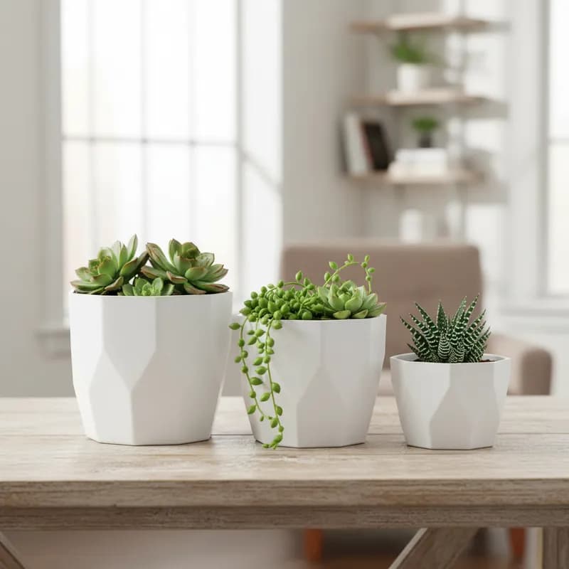Kit Jogo 3 Vasos para Plantas Decorativo Cachepô Liso Injetado Centro Mesa Suculentas Cactos