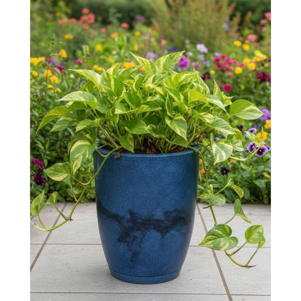 Vaso para Planta Coluna Lisa Marmorizada Moderna N1 com Prato