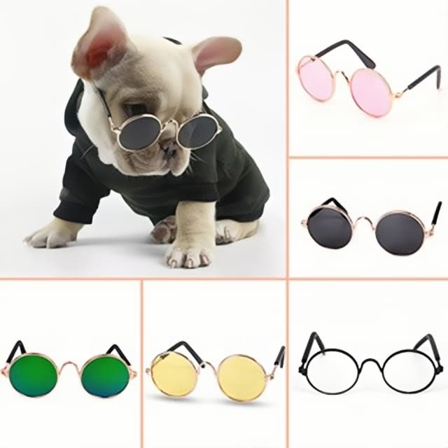 Óculos Pet Cachorro Gato Diversas Cores
