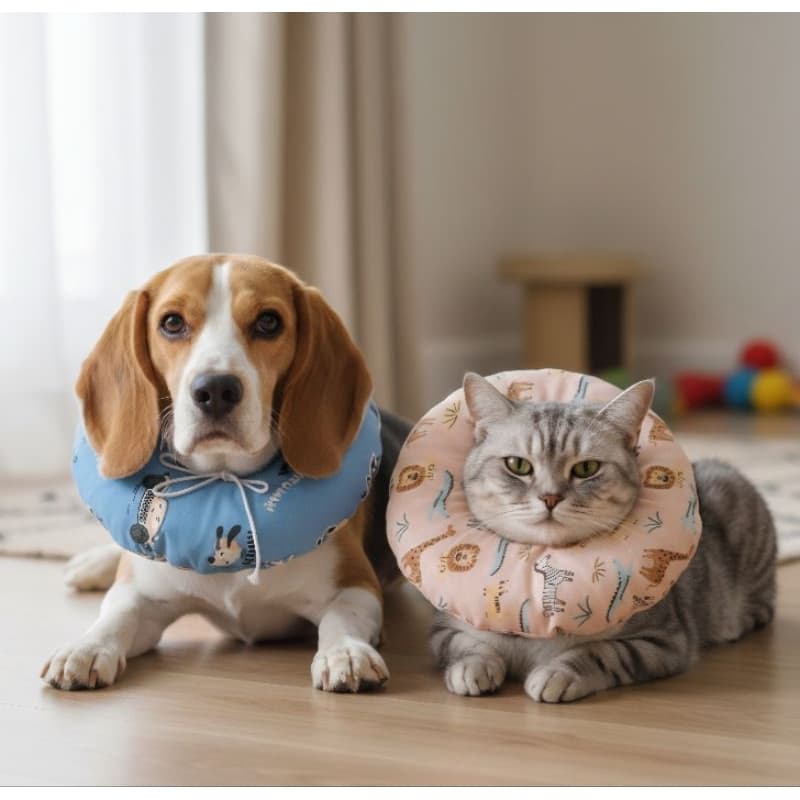 Colar Elizabetano Macio para Gatos e Cães – Ideal para Pós-Cirúrgico e Dermatite -TODOS OS TAMANHOS