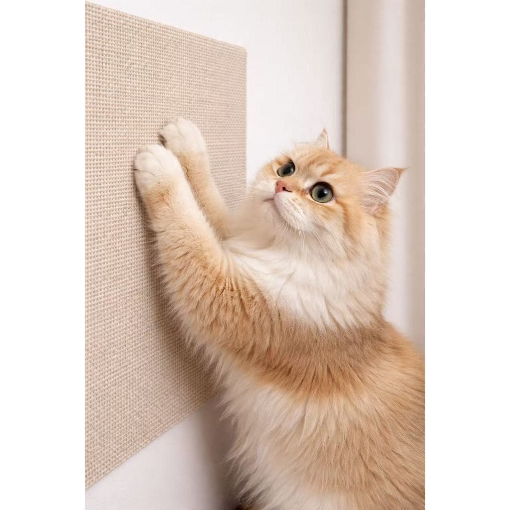 Carpete Adesivo Premium para Gatos – Arranhador Protetor de Sofá, Cama Box e Móveis | Alta Durabilidade