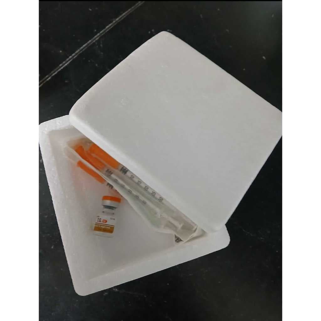 Caixa Térmica de Isopor 250g para Insulina, Medicamentos e Sorvete – 1 Unidade