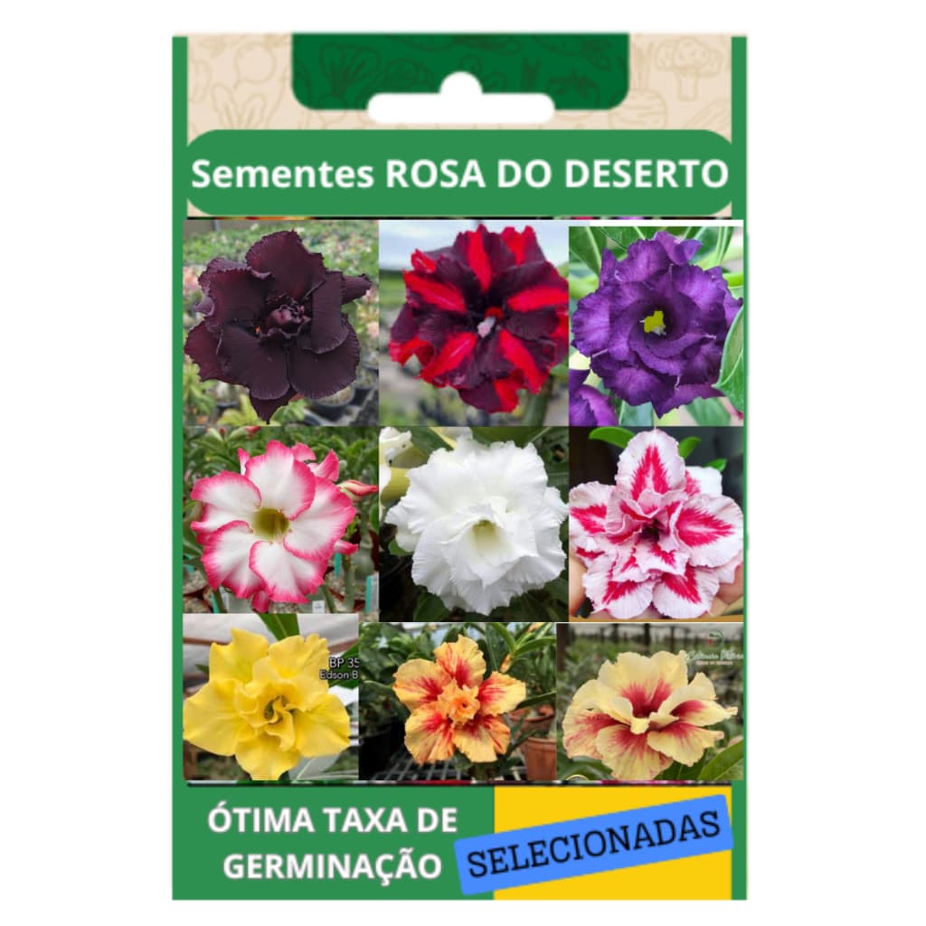 Kit 22 Sementes Rosa do Deserto Adenium Flores Dobradas e Triplas