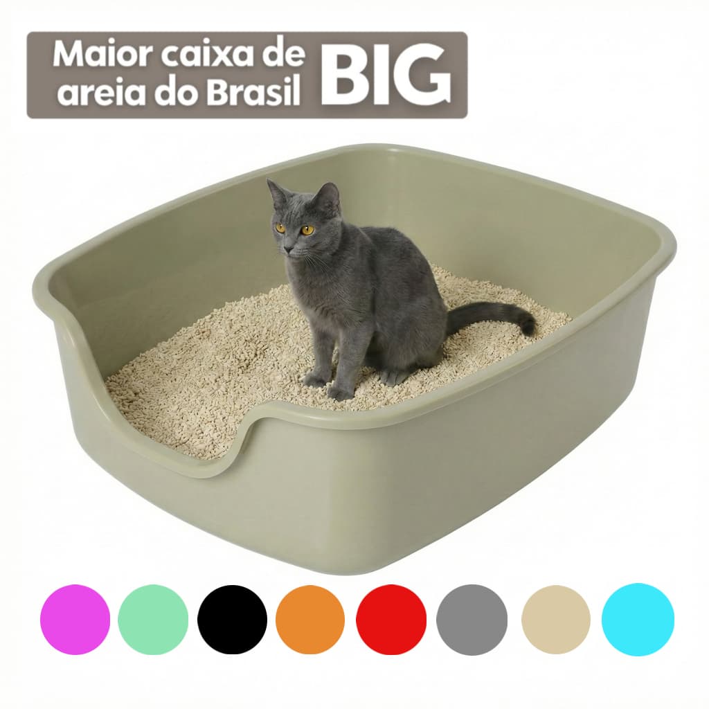 Caixa De Areia Gato Gigante Alvorada Bandeja Big Extra Grande