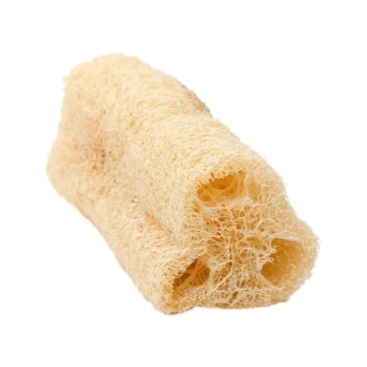 Kit Com 10 Bucha Esponja Vegetal Natural Ecológica Para Banho Esfoliação Promoção