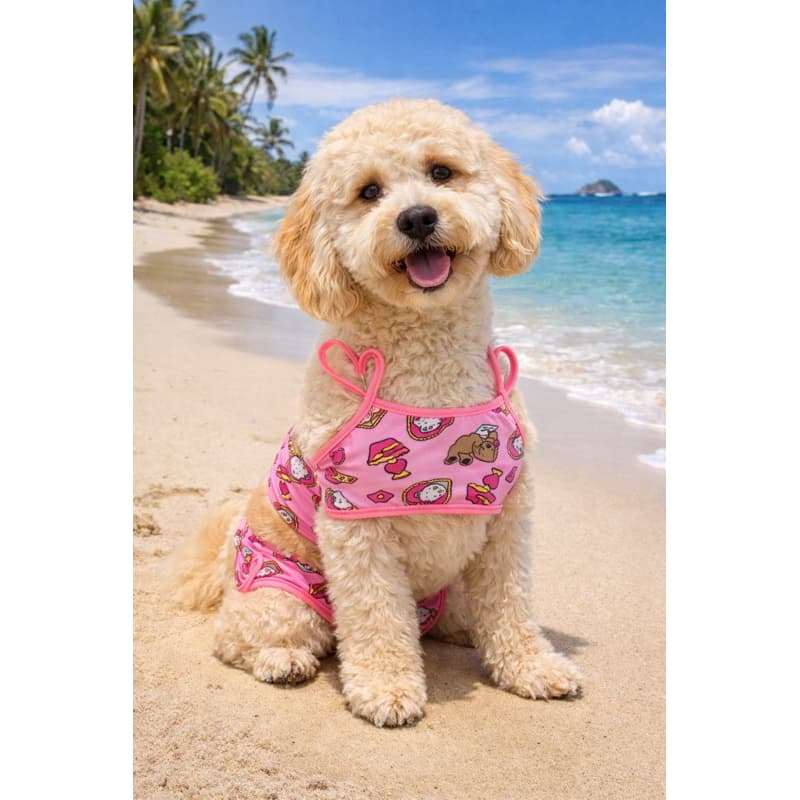 Biquini para pet para cachorro e gato.primavera verão