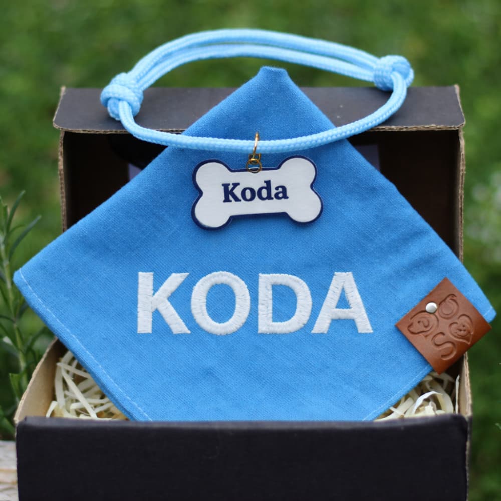Bandana e colar pet personalizado com nome - Varias cores e tamanhos