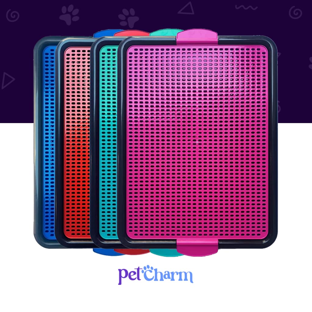 Sanitário Higiênico Canino Pet Educador Xixi Sim Tapete Higiênico Cachorro Grande Banheiro