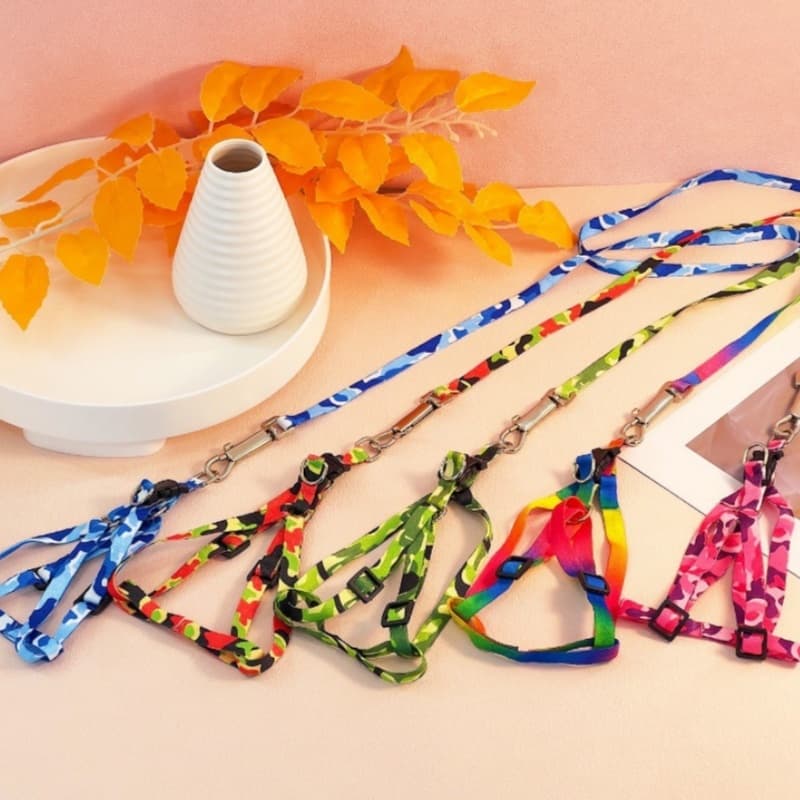 2 Kit Coleira Para Animal Resistente À TraçãO Comprimento AjustáVel Grip ConfortáVel Leve E Duradouro