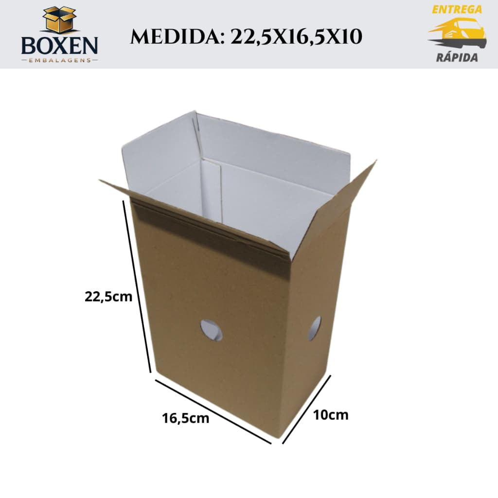 Kit 10 Caixa de Papelão para Sorvetes e Picolés - 22,5X16,5X10 Armazenamento Seguro