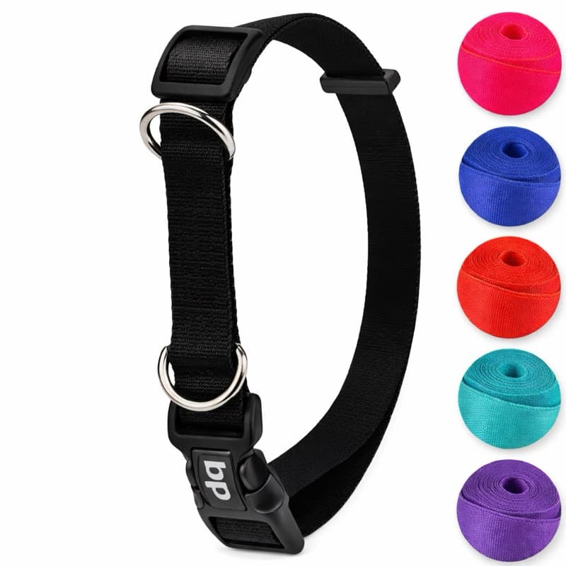 Coleira para Cachorro Cães Adestramento Basic Pet