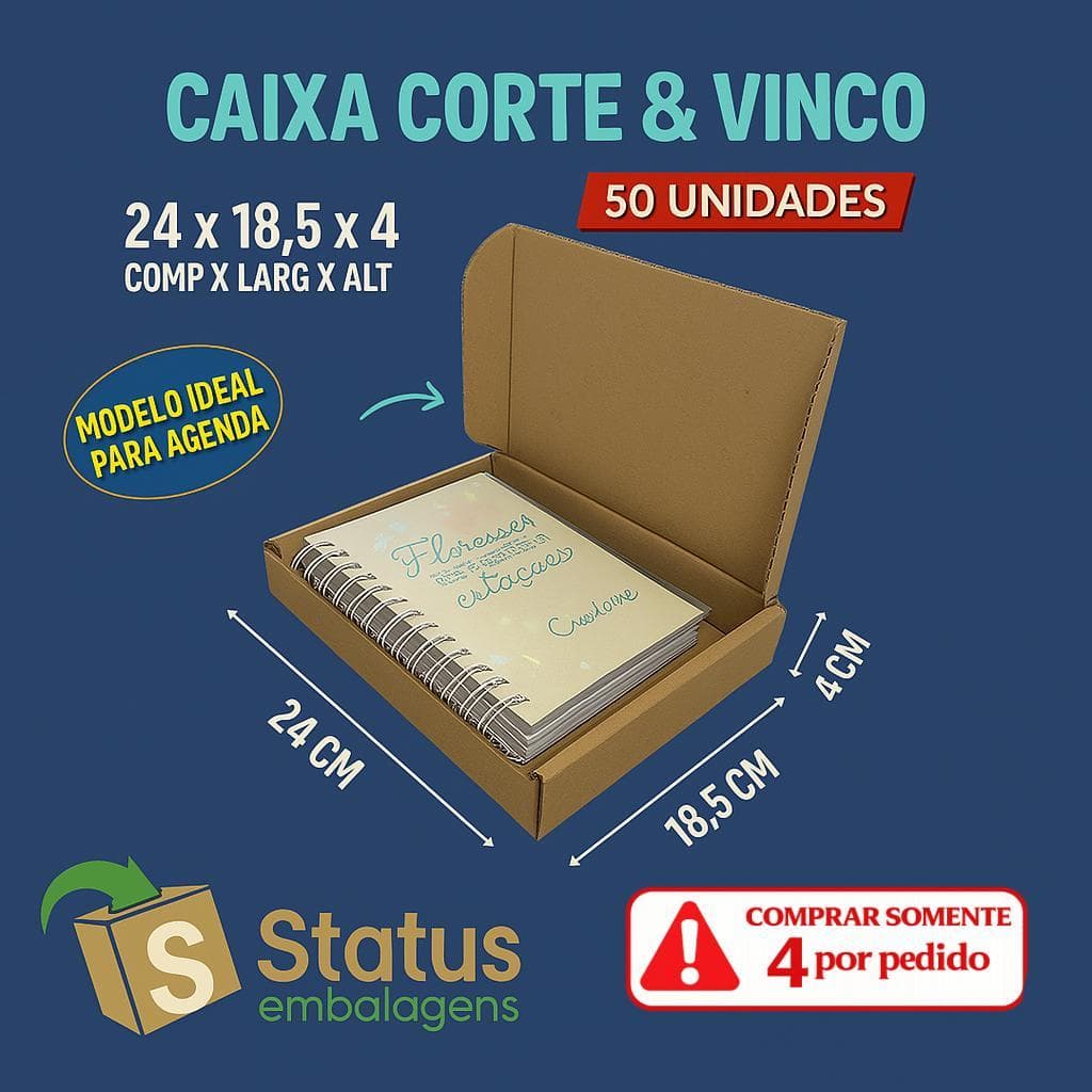 50 Caixas de Papelão  Medidas Internas 24x18,5x4- Correios  - IDEAL PARA AGENDA