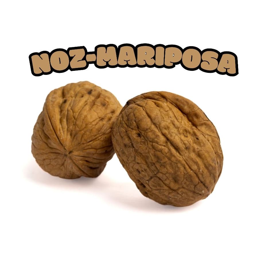 Noz com casca para Hasmters, e roedores em geral.