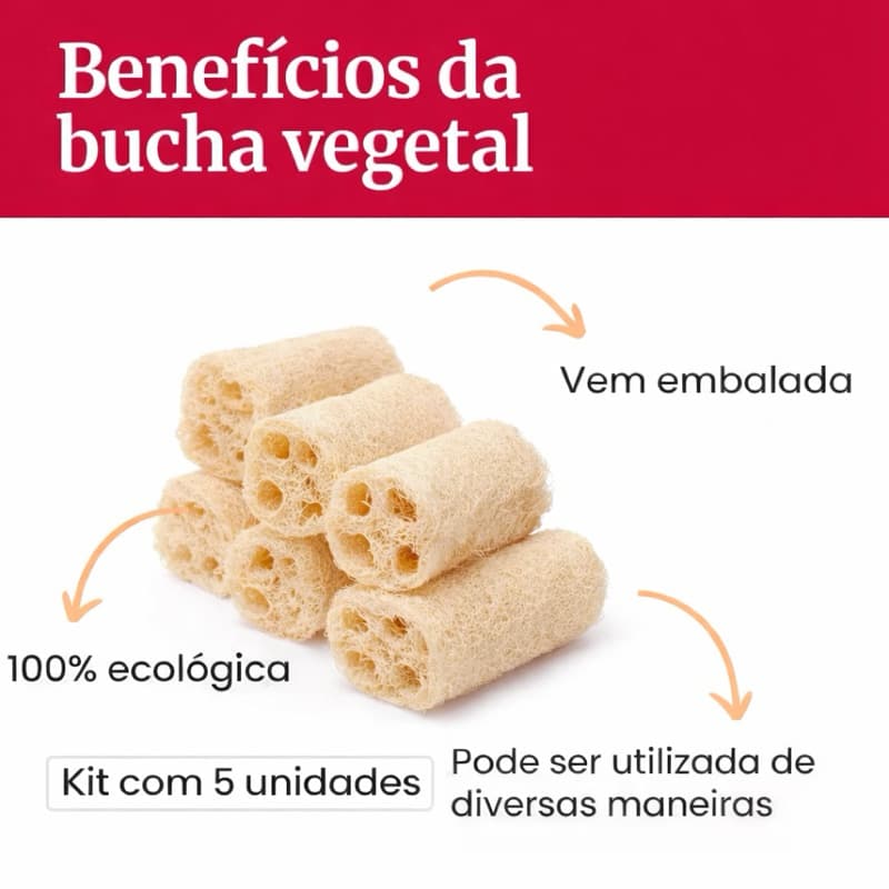 Kit 05 Esponja Bucha Vegetal Natural Banho Esfoliação Promoção Embalada