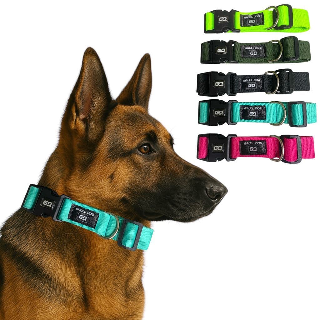 Coleira para Cachorro Ajustável Resistente Estilosa Pet Pequeno médio e grande porte