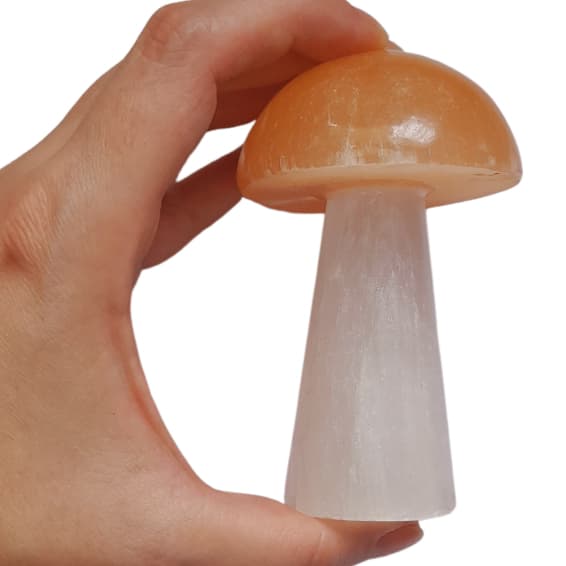 Cogumelo Selenita Branca Selenita Laranja Pedra Natural Lapidada