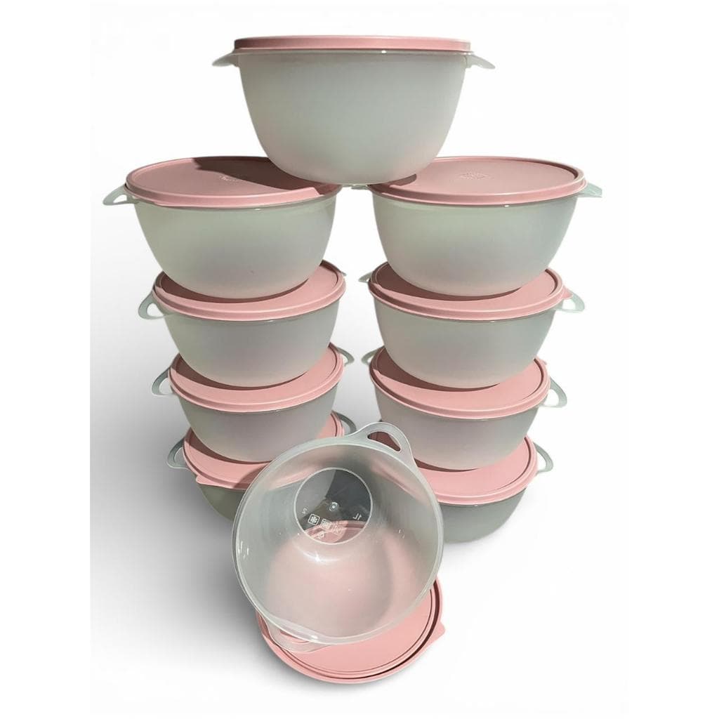 Kit 10 Potes Bowl 1 Litro Plástico Fosco Tampa Color OU 5 Peças