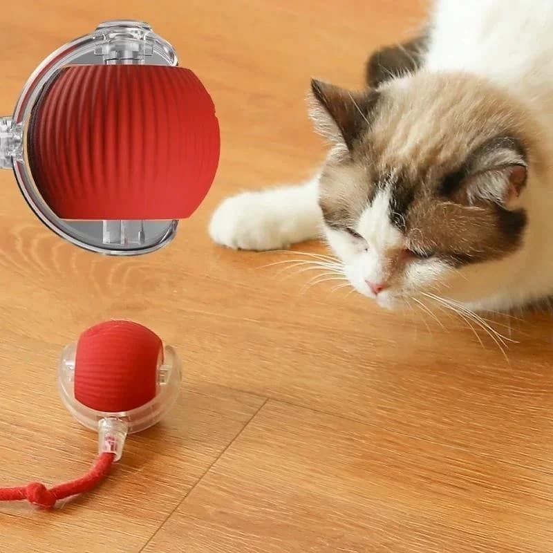 Brinquedos Inteligentes Para Gatos Bola De Rolamento Automática Cauda Falsa Recarregável Elétrico