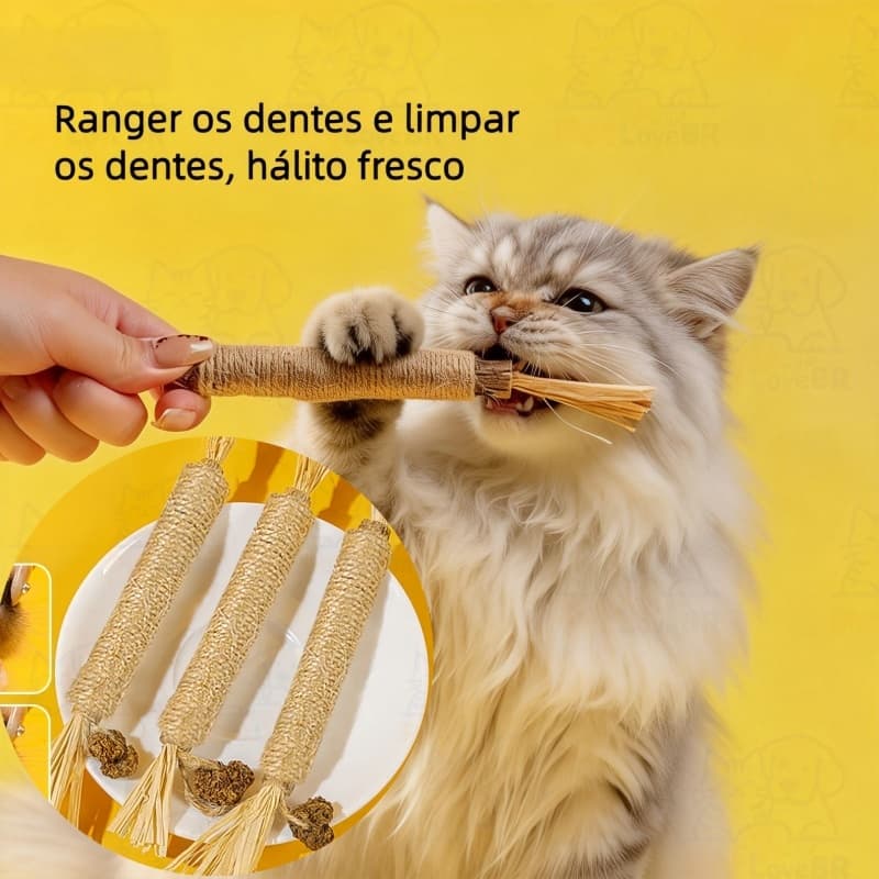 Brinquedo de Madeira Natural pra Gatos - Mastigável, Limpa Dentes e Alivia Estresse  Compre Múltiplos e Economize