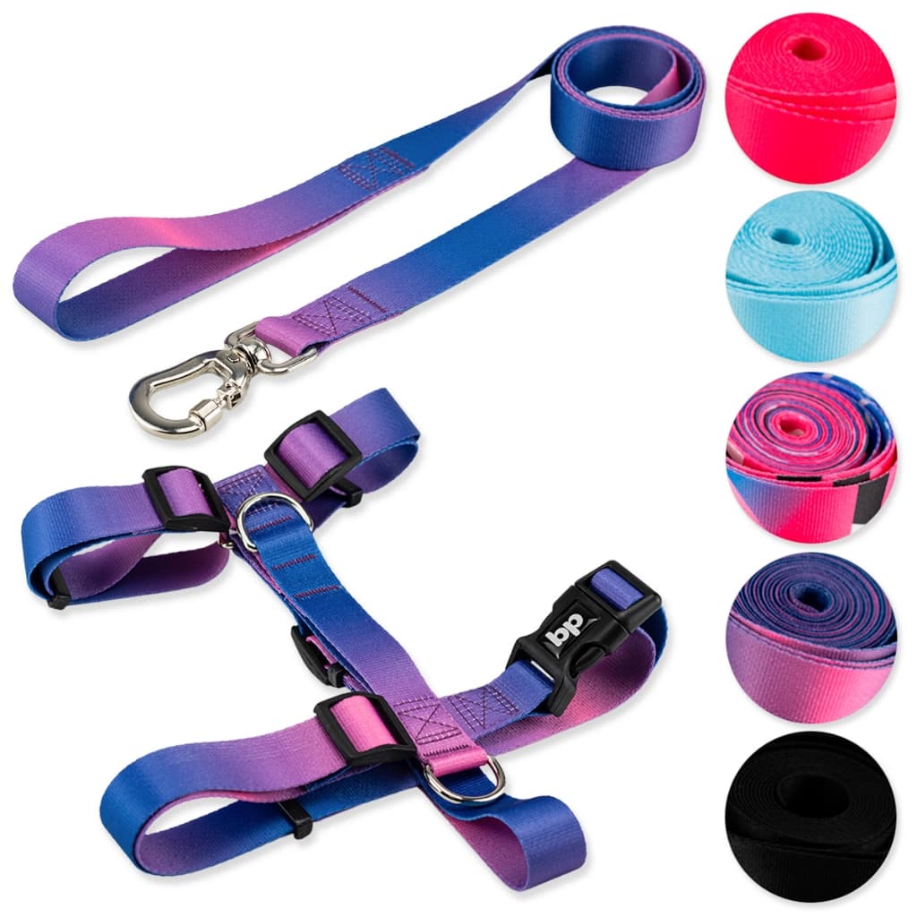 Coleira Peitoral com Guia para Cachorro Cães Regulável Varias Estampas Basic Pet