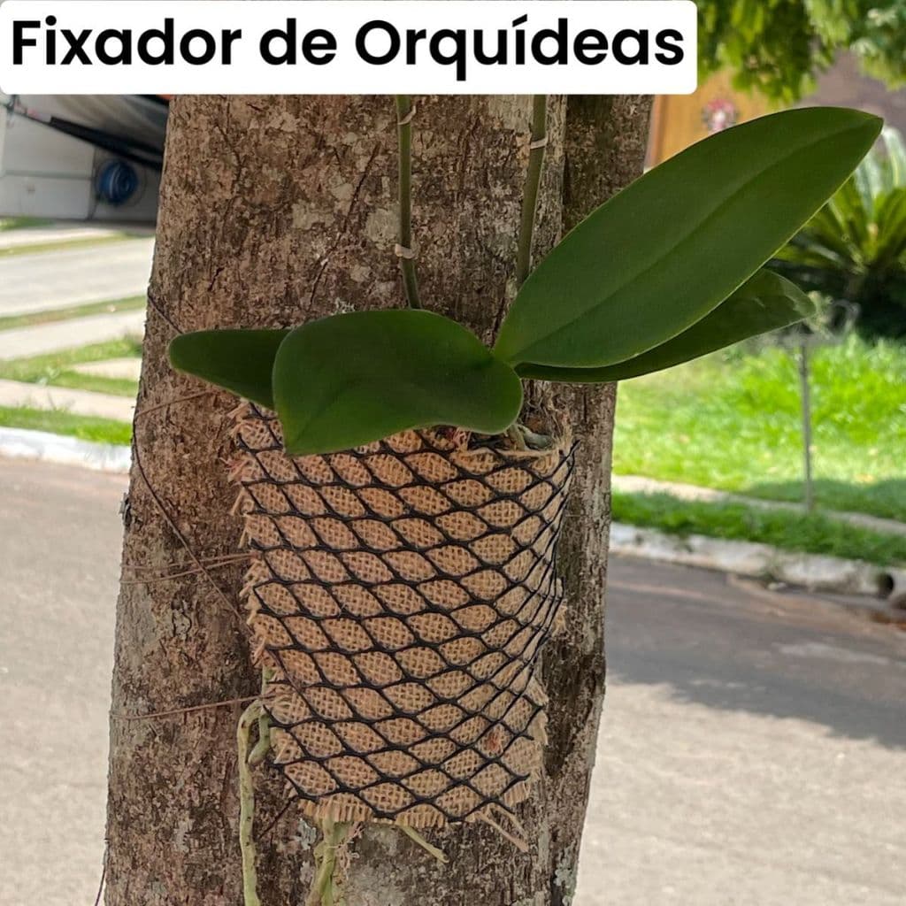 Kits  6, 12 e 24 Fixador para Orquideas, suporte para plantas premium com Tela, sphagno, barbante e Juta Premium