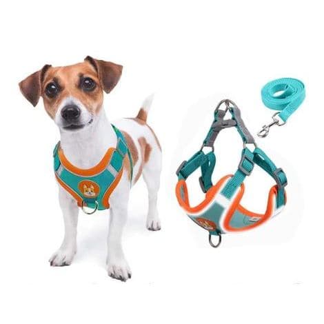 Coleira Peitoral para cachorro pequenos e médios com guia para pet colete confortável