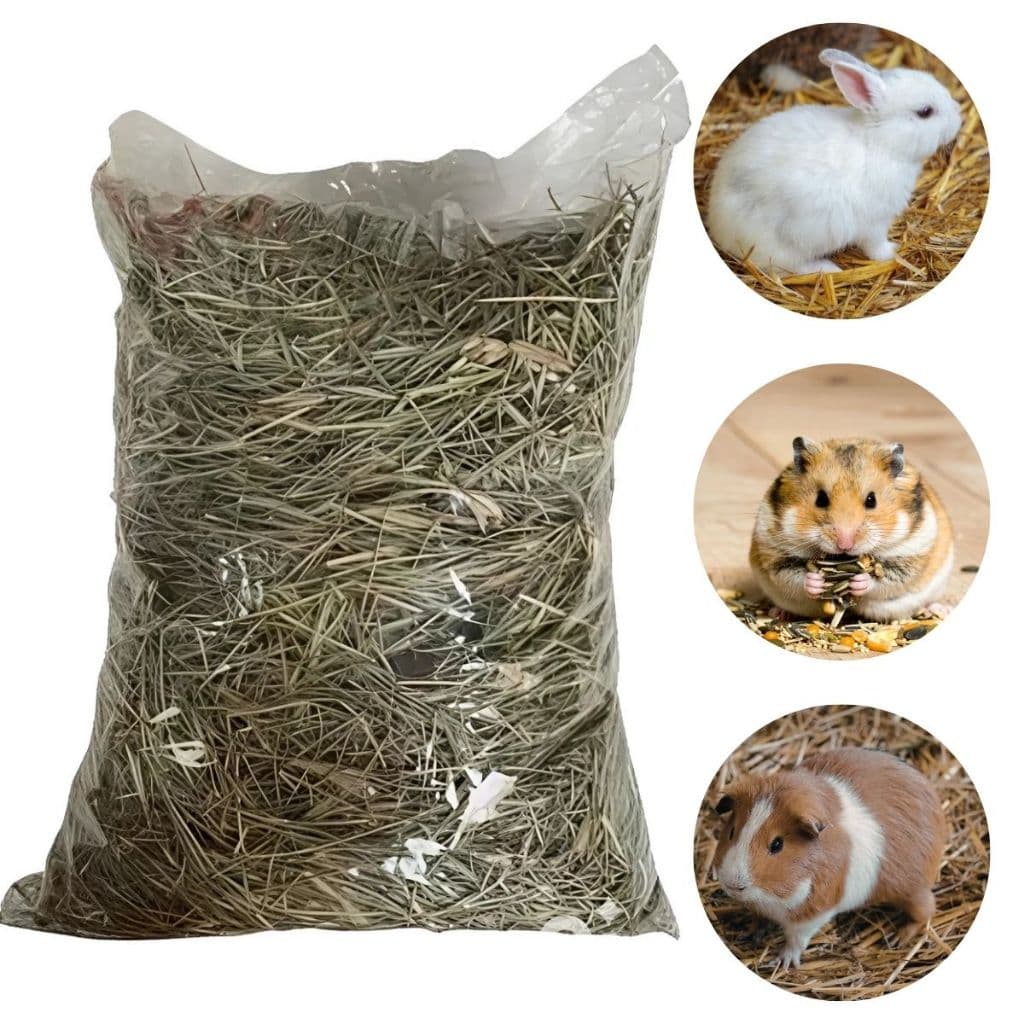 Feno Verdinho Roedores Coelhos Hamster Porquinho da Índia Chinchila Gerbil Fresquinho e Cheiroso