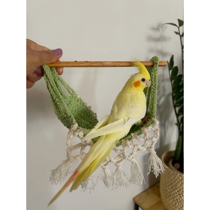 Redinha de descanso para Calopsitas, Agapornis e aves do mesmo porte 40cm x 14cm ✨🐤es