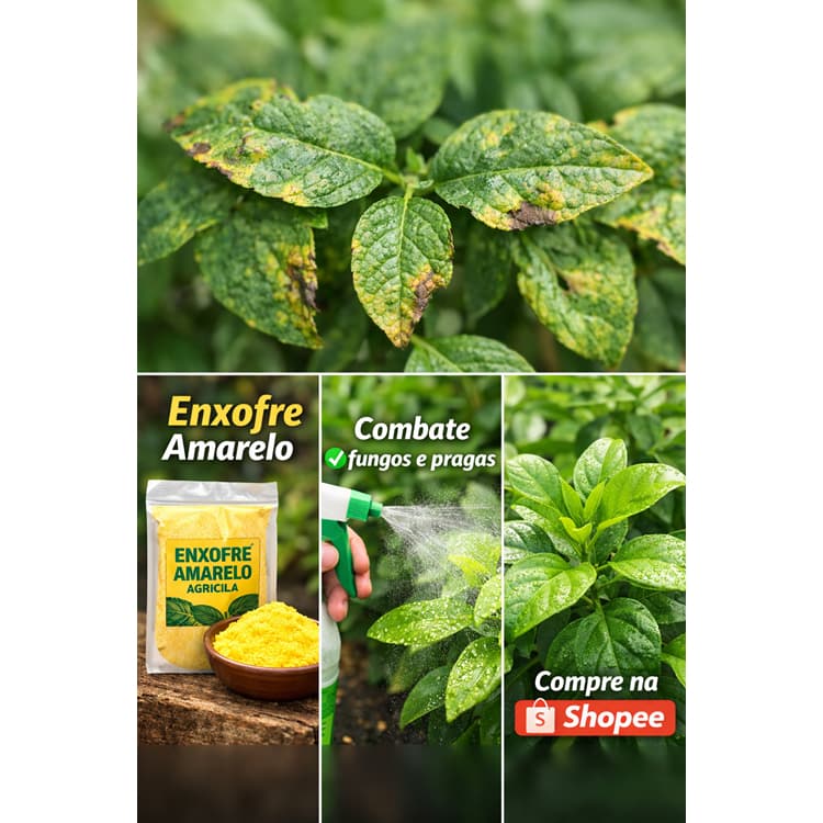 ENXOFRE PURO A GRANEL 2KG | PÓ AMARELO 99% PUREZA | VENTILADO | USO AGRÍCOLA E PECUÁRIO