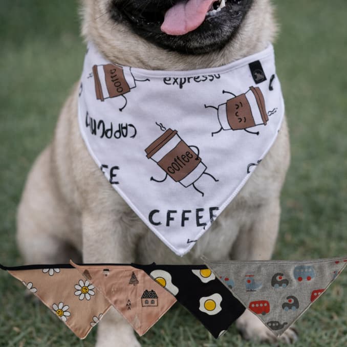 Kit Bandanas Pet - Bandanas Estampadas Sortidas