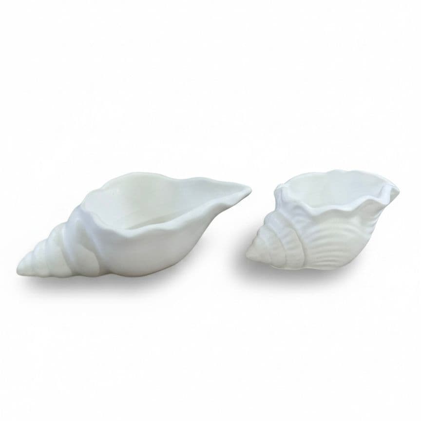 Kit 2 Conchas do Mar em Gesso Cru
