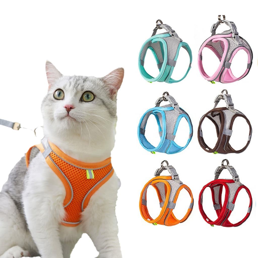 Coleira de Cachorro Peitoral Trela Pet Cães Gato Colete Com Guia Reflexivo Pectoral Malha de Náilon