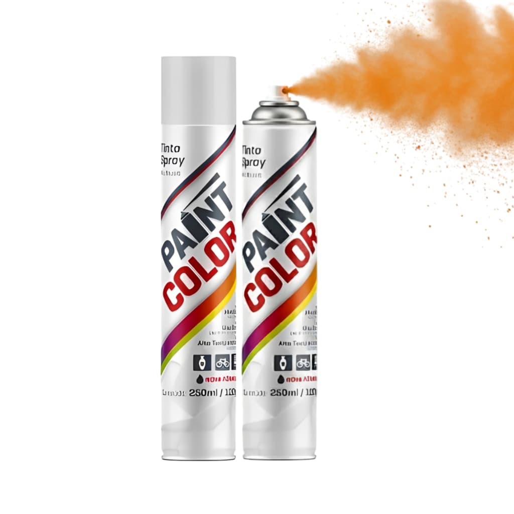 SPRAY USO GERAL PAINT COLOR 250ML