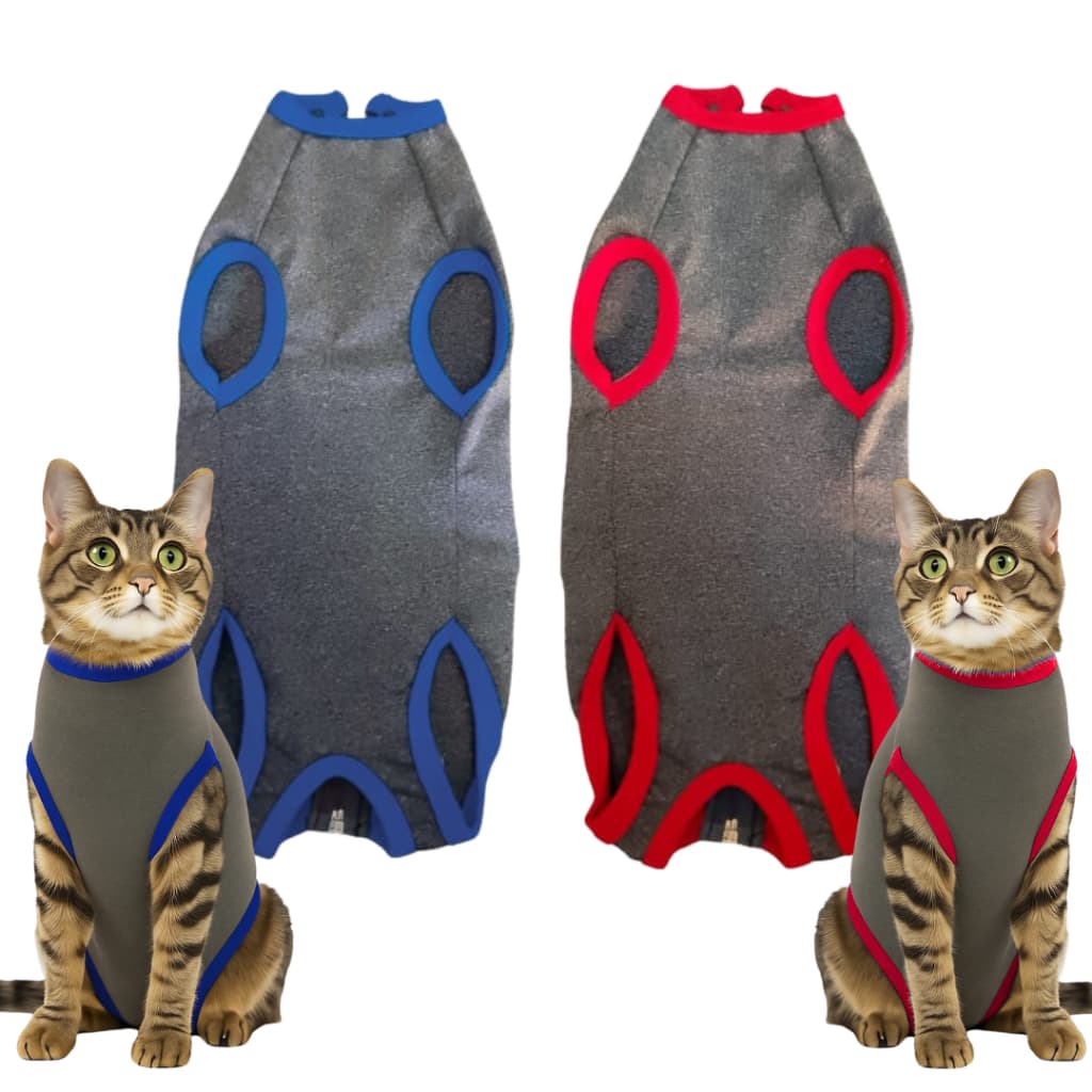 Roupa Cirúrgica Castração Protetora Para Gatos Pós cirúrgica Macho e fêmea