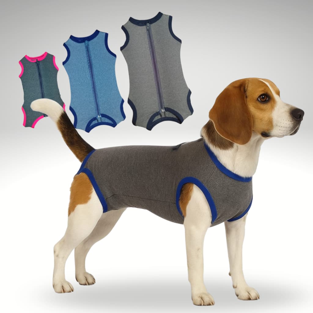 Roupa Protetora Pós Cirúrgica Para Cães Machos e Fêmeas