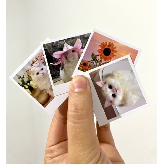 Mini Fotos 5x5 - 100 Unidades - Alta qualidade