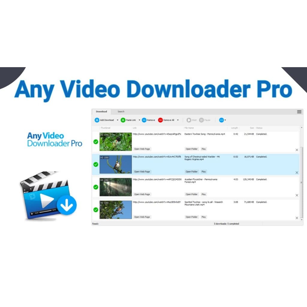Any Video Downloader Pro - aplicativo para Windows que ajuda você a baixar vídeos do YouTube, Facebook, TikTok