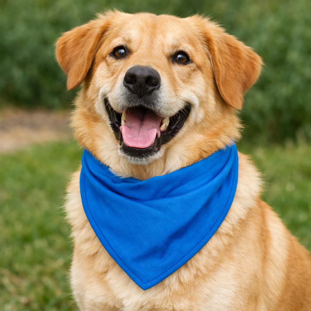 Bandana Pet Algodão Lavavel Porte Medio e Grande
